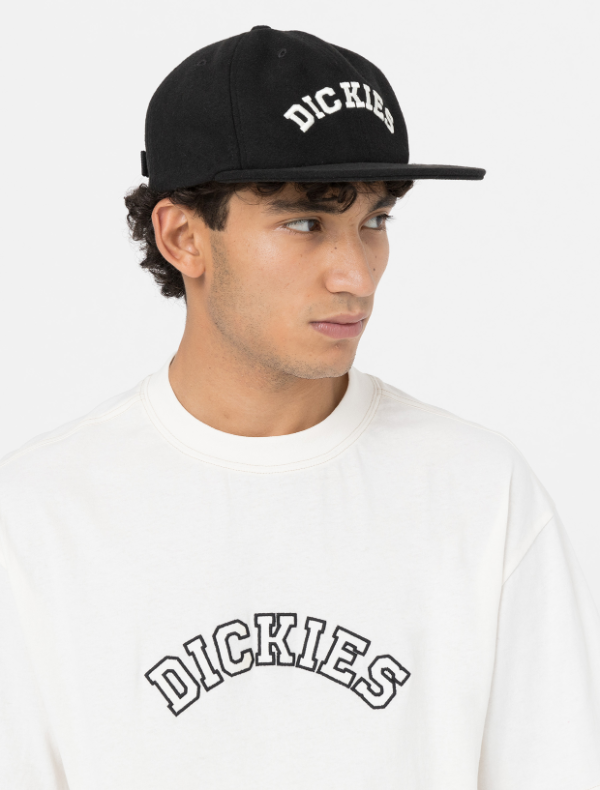 Кепка Dickies West Vale Cap Black