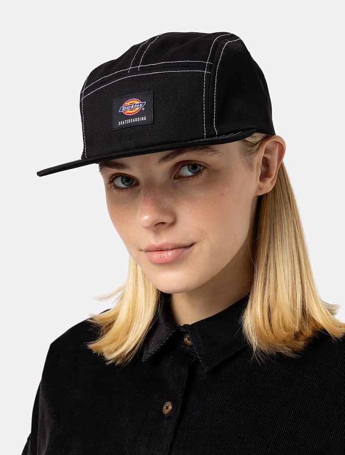 Кепка Dickies Mount Vista Cap Black